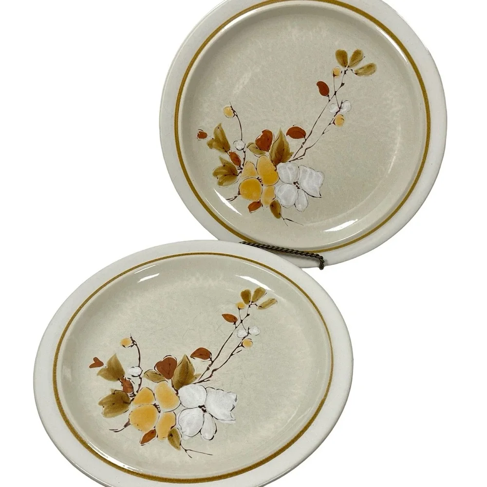 Vintage Casual Classic Stoneware Dinner Plates 415 Tahoe Tan Brown Floral 2